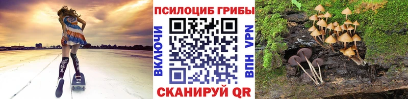 Псилоцибиновые грибы MAGIC MUSHROOMS  магазин продажи наркотиков  Сунжа 