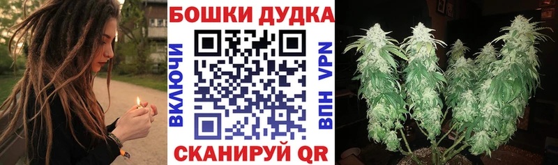 Конопля ГИДРОПОН  что такое наркотик  Сунжа 